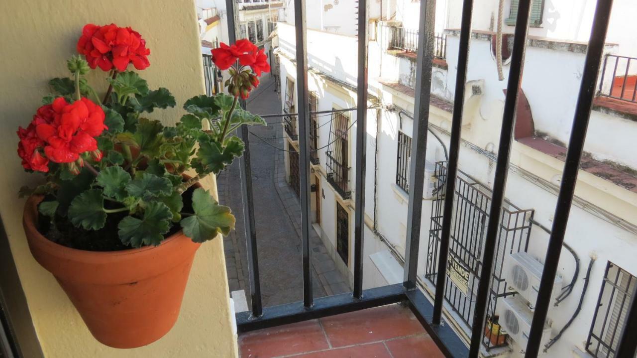 Apartament Patios De San Andres Kordoba Zewnętrze zdjęcie